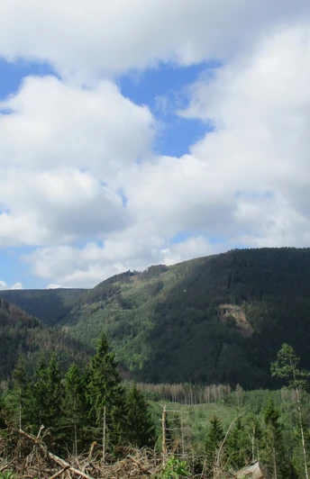 Tolle Ausblicke auf die umliegenden Berge
