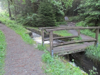 Der Dammgraben oberhalb von Altenau