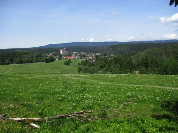 Blick auf Altenau