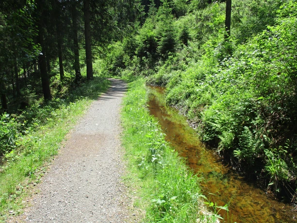 Der Dammgraben bei Altenau