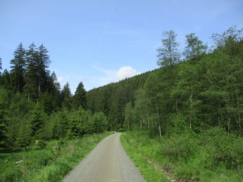 Durchs Kellwassertal gehts zurück zum Startpunkt