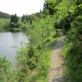 Trail at the Oker Reservoir