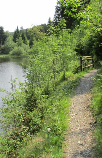 Trail an der Okertalsperre
