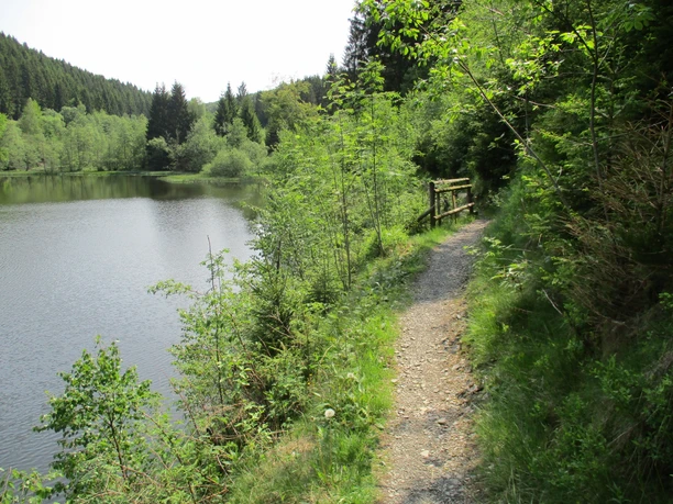 Trail an der Okertalsperre