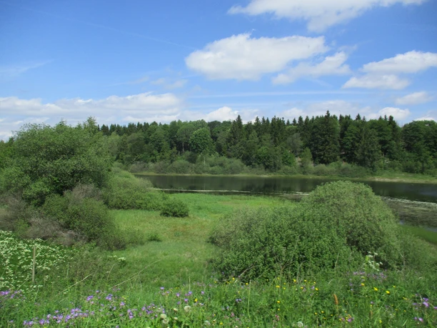 Am Rand der Okertalsperre