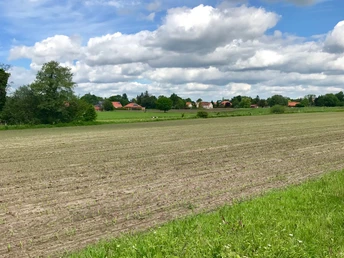 Auf dem Linsweger Esch