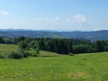 Blick auf die Bergstadt Sankt Andreasberg
