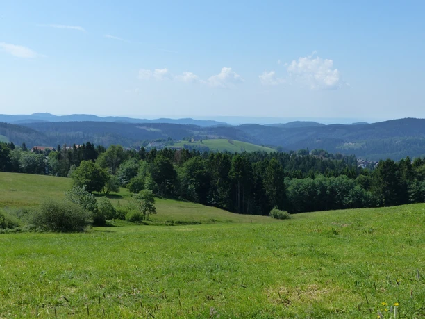 View of the mountain town Sankt Andreasberg