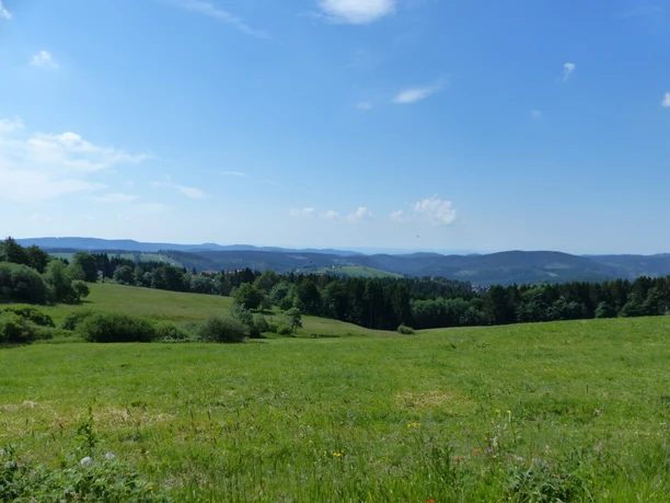 View from the north of Sankt Andreasberg