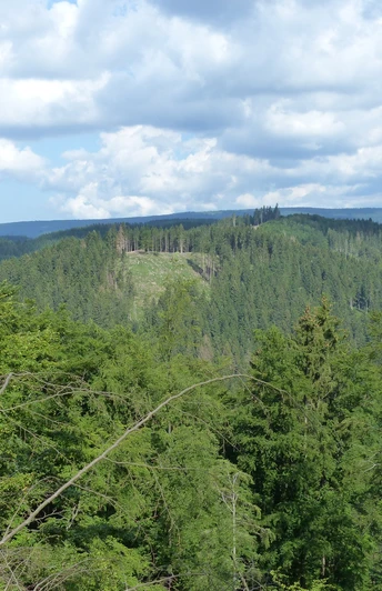 Aussicht vom Rand des Eschenberges.