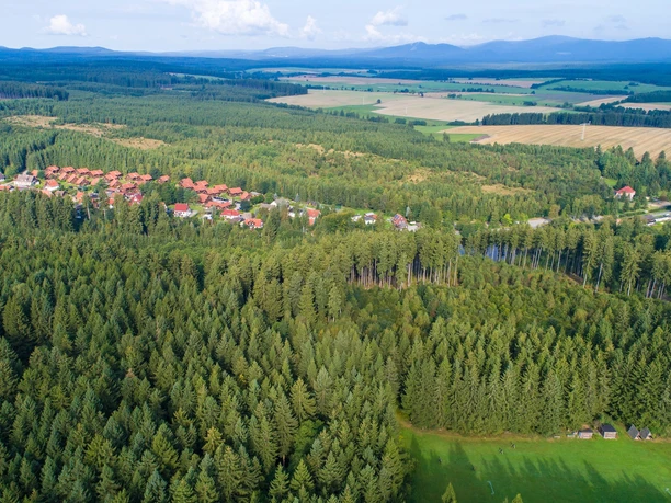 View over the forest area near Hasselfelde
