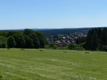 Blick über Braunlage in den Unterharz