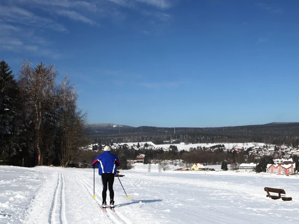 Cross-country skiing around Braunlage Photo: Braunlage Tourism Marketing GmbH