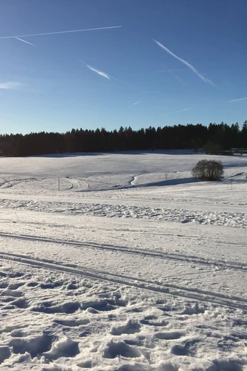 Loipe bei Buntenbock