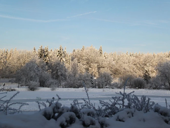 Hahnenklee Fuckelweg