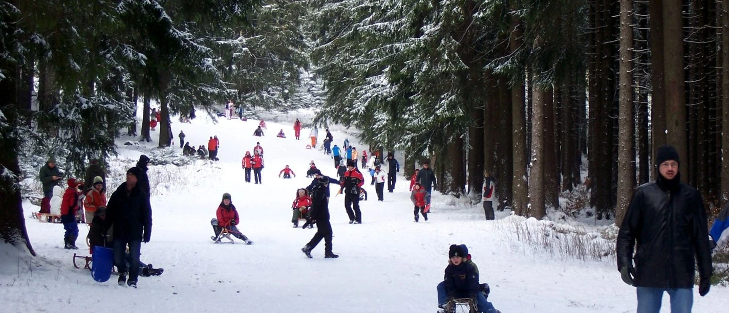Toboggan run at Wurmberg Braunlage