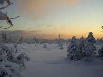Winter in Altenau