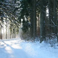 Winterwanderweg Braunlage