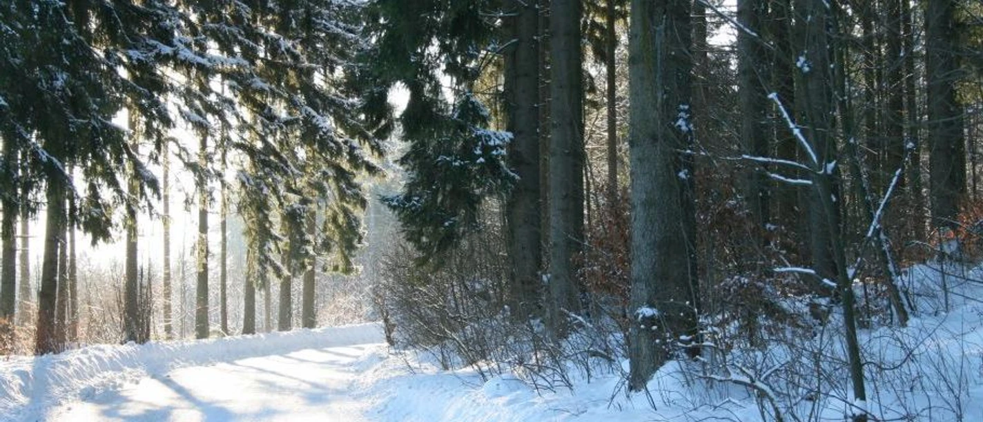 Winter hiking trail Braunlage