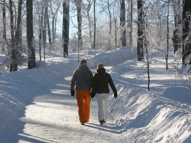 Winterwandern auf dem Hexentanzplatz Foto: Bodetal Tourismus Gmbh