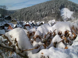Wildemann im Winter