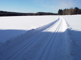 Loipe in Hohegeiß