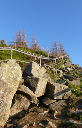 Die Achtermannshöhe liegt ebenfalls am Weg und sollte bestiegen werden.