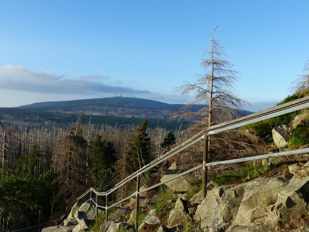 Blick vom Achtermann zum Brocken