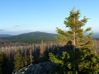 Blick vom Achtermann zum Wurmberg