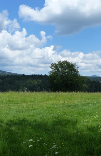 From the Matthias-Schmidt mountain, the view reaches as far as the Brocken and Wurmberg