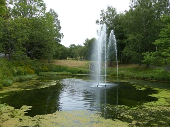 Kurpark in Hohegeiß