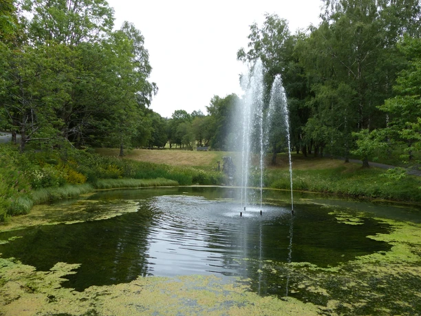 Kurpark in Hohegeiß