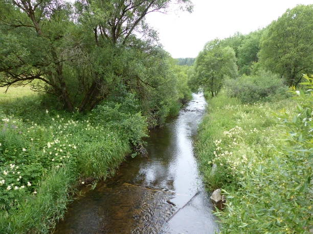 Die warme Bode bei Sorge