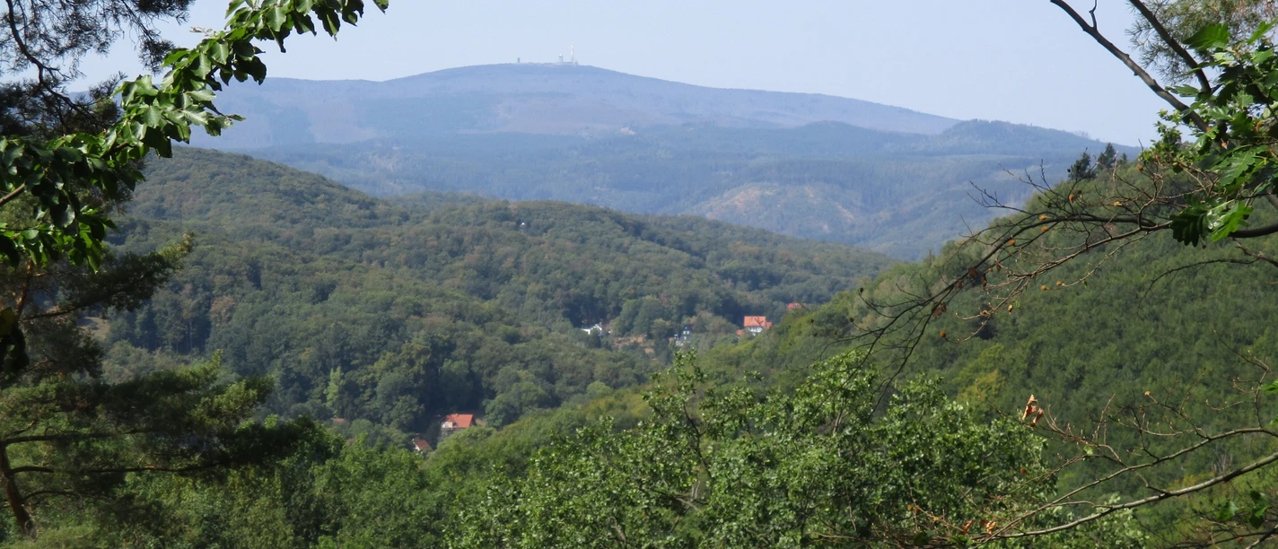 Blick über Wernigerode zum Brocken