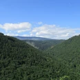 Vom Ilsestein bietet sich eine grandiose Sicht über die Harzer Wälder, bis hinauf zum Brocken.