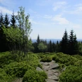 Die bizarre Landschaft im Bereich der vielen Klippen östlich vom Brocken