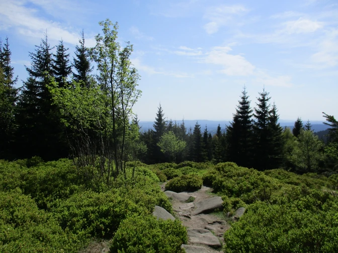 Die bizarre Landschaft im Bereich der vielen Klippen östlich vom Brocken