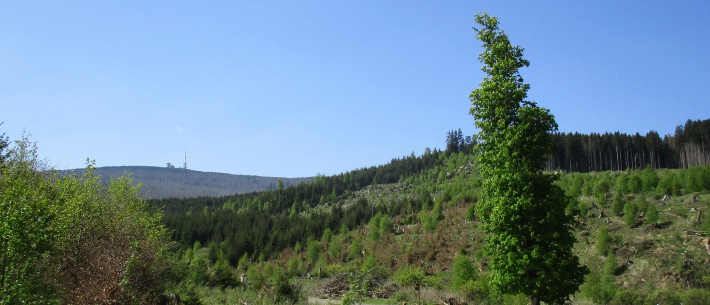 Blick von Norden auf den Brocken