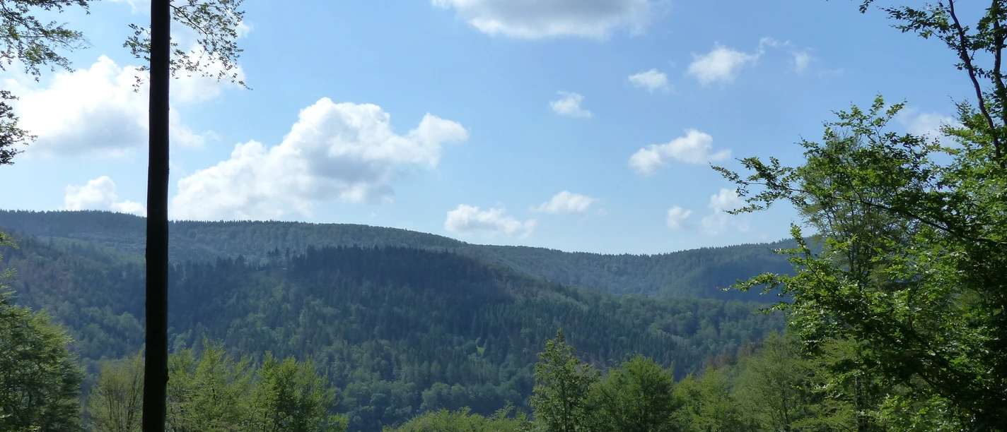 Blick über die Südharzer Wälder