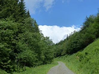 Im Brandesbachtal