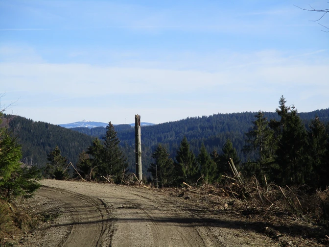 Ausblicke von den Wegen