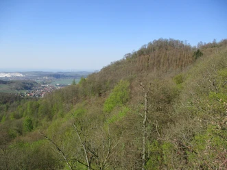 Am Südharzrand