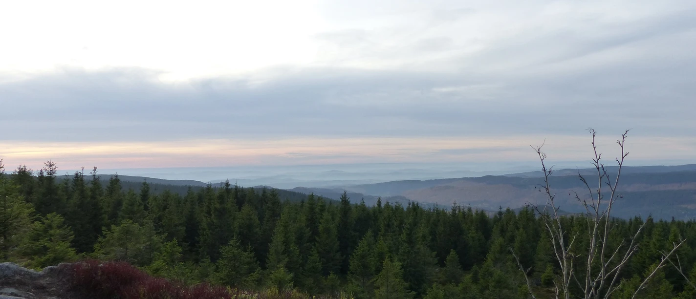 Der Acker mit seinen bizarren Felsformationen