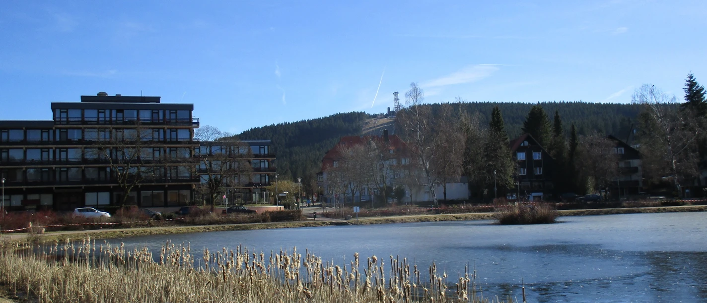 Kranicher Teich mit Bocksberg im Hintergrund