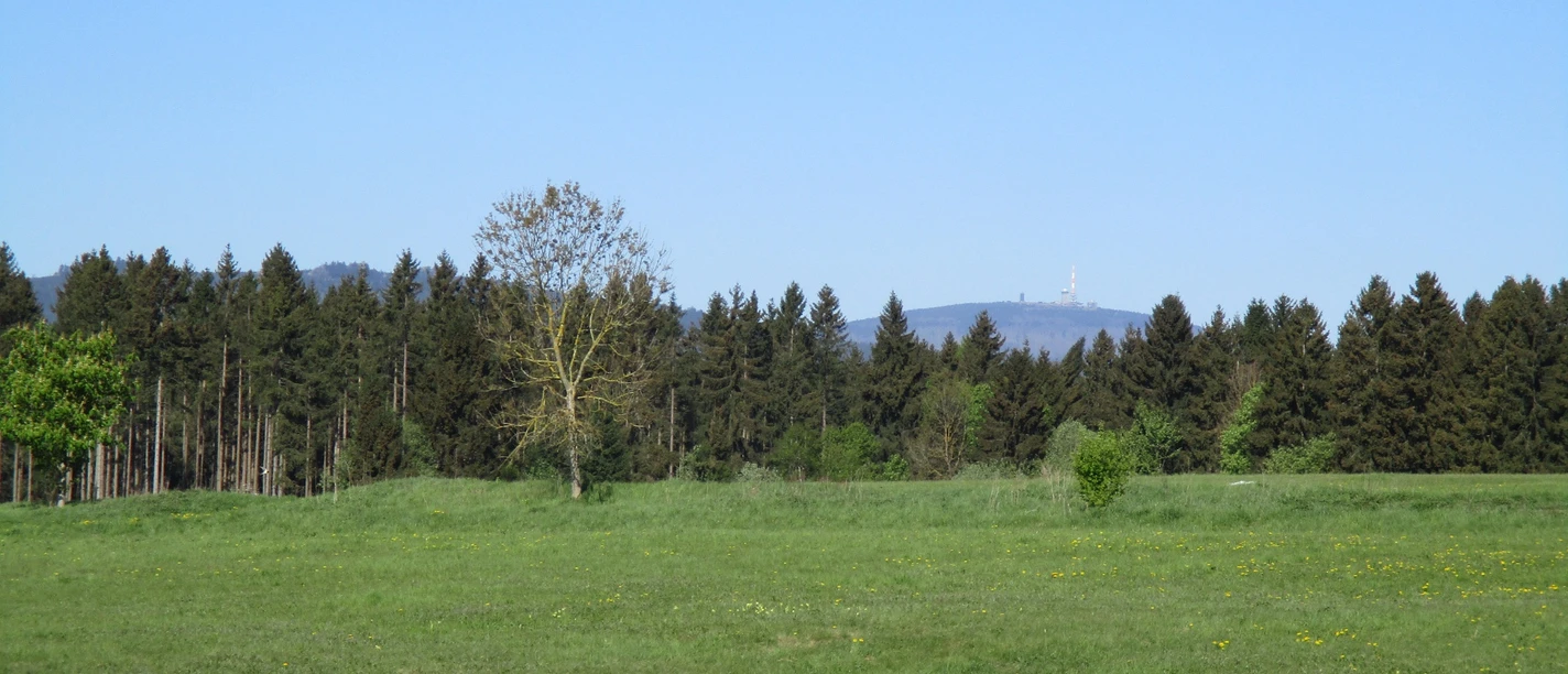 Ausblick von Elbingerode zum Hochharz