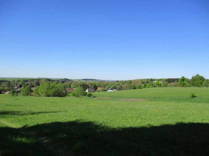 Saftig grüne Wiesen auf der Hochfläche um Elbingerode