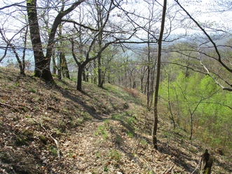 Schöne Trails im Südharz