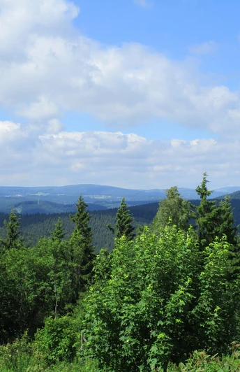 Aussicht vom Ravensberg zum Brocken