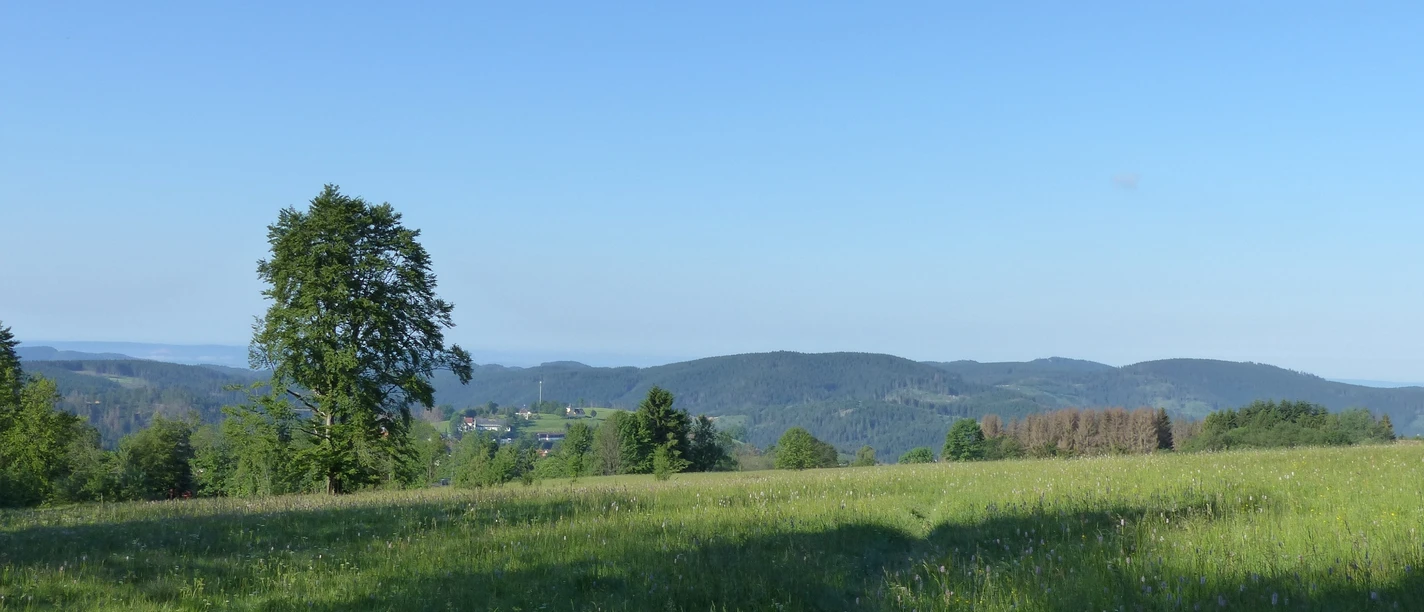 St. Andreasberg - the northernmost point of the route