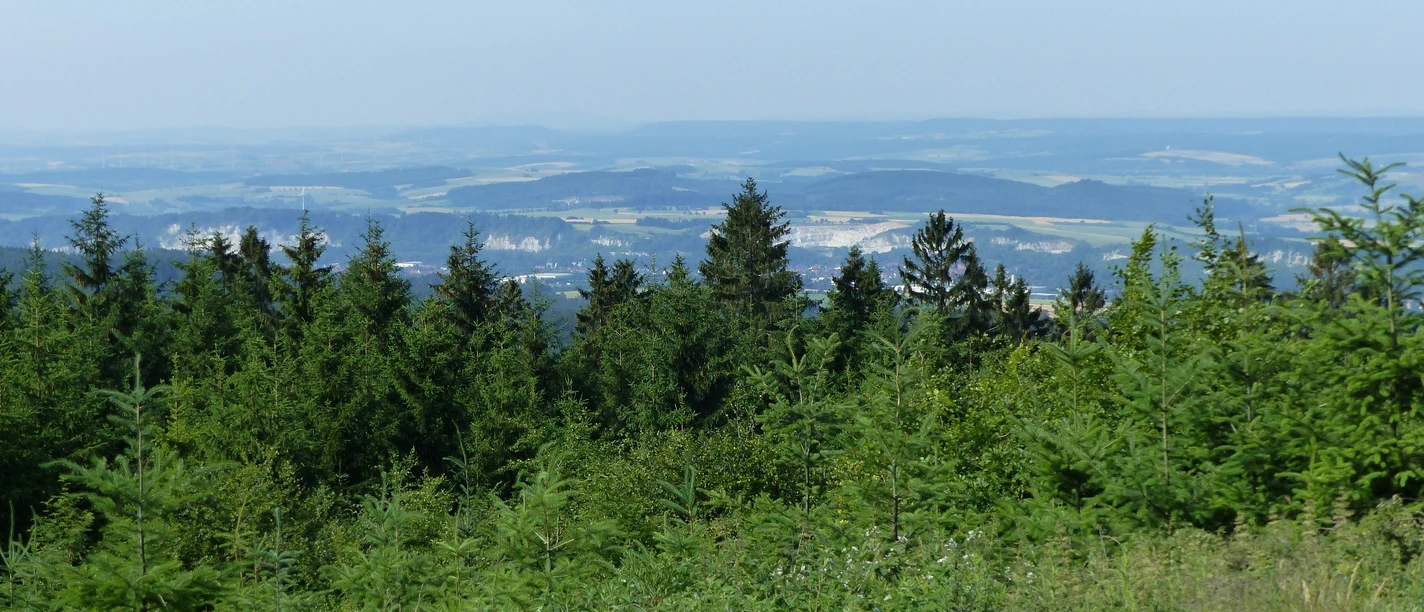 Ausblick auf das westliche Harzvorland
